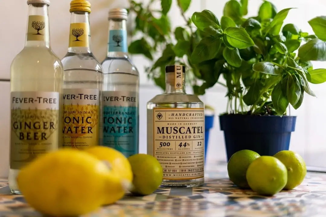 Alkoholfria alternativ till klassiska gin &amp; tonics