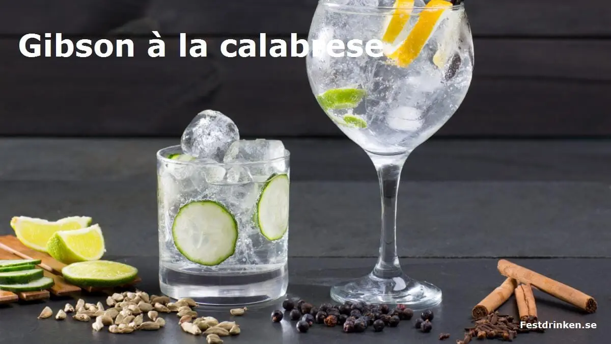 Recept på drinken Gibson à la calabrese